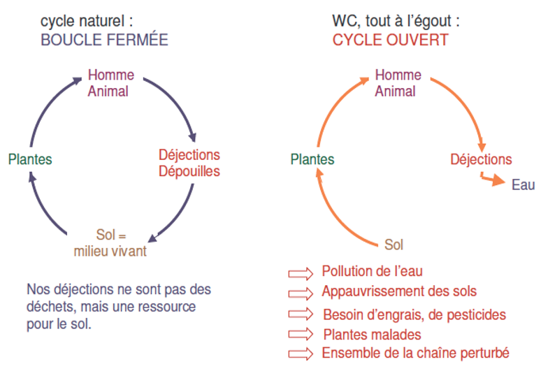 Pourquoi devenir utilisateur de toilettes seches